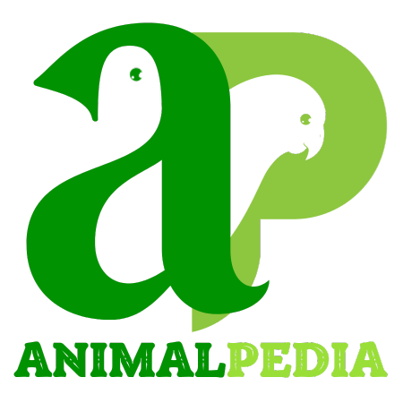 Animal Pedia