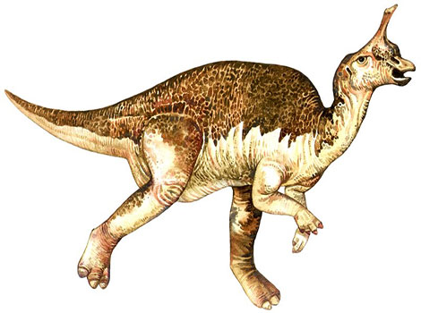 Tsintaosaurus - Dinosaurs Animal that Start With T