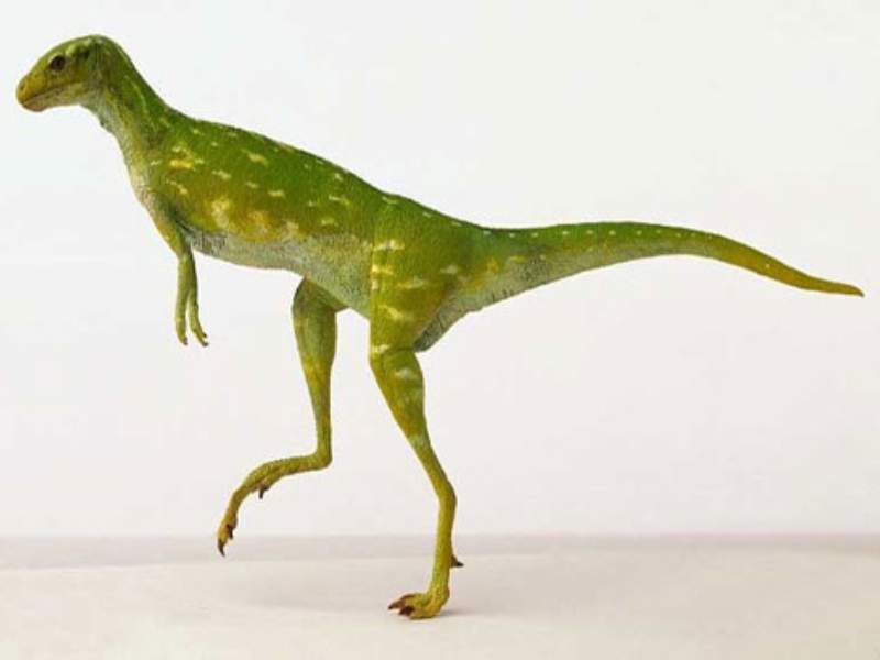 fabrosaurus small herbivorous dinosaur Triassic
