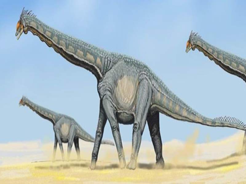 futalognkosaurus giant sauropod dinosaur Cretaceous