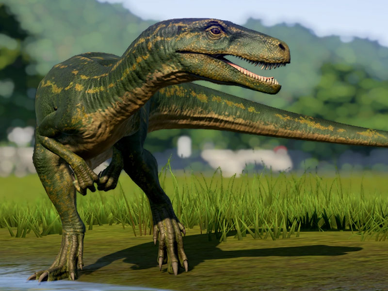 herrerasaurus hunting and early dinosaur anatomy