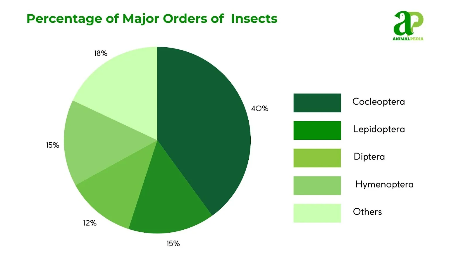 insects percentage of major orders