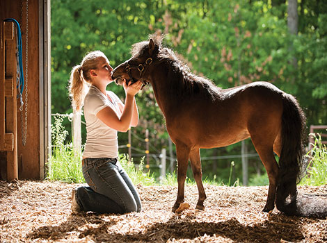 miniature horse small size