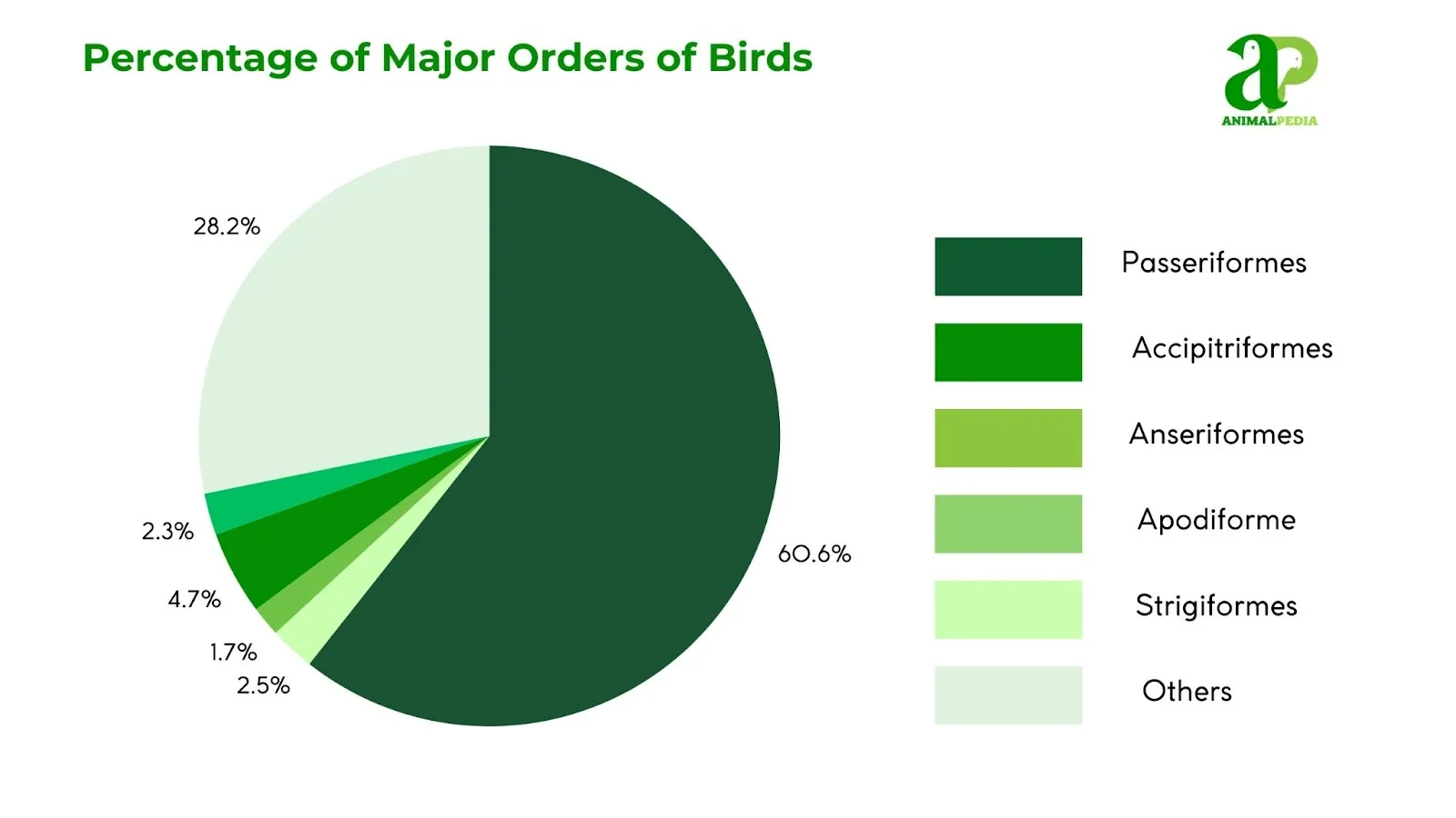 percentage of major orders of birds