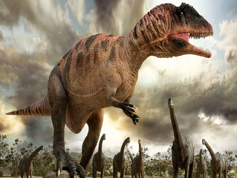 xiaotingia feathered dinosaur