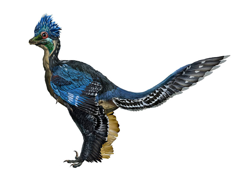 xiongguanlong bhamoensis dinosaur and prehistoric habitat
