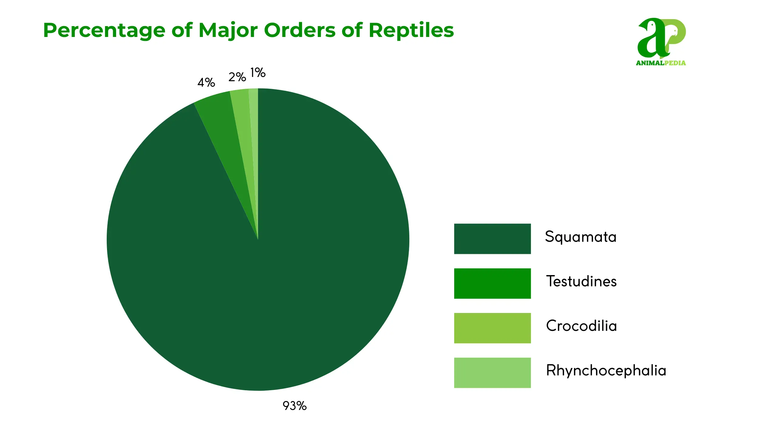 percentage of major orders of reptiles