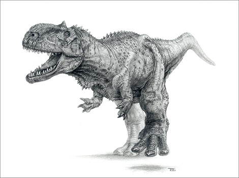 Rajasaurus and fossil reconstruction