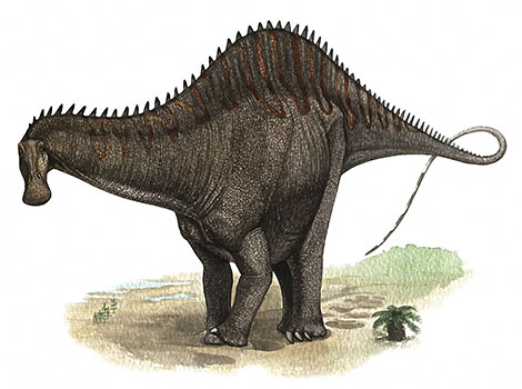 Rebbachisaurus and long-neck dinosaur