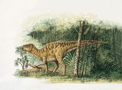 Rhabdodon and herbivorous dinosaur