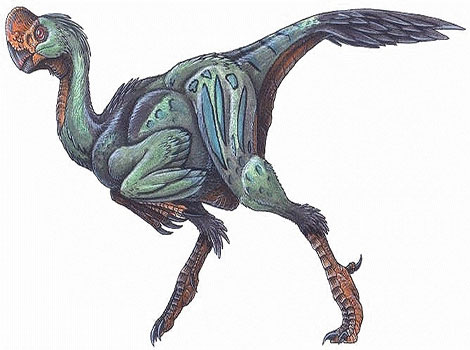 Rinchenia and feathered dinosaur