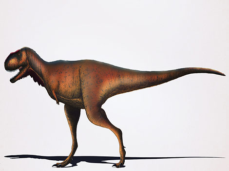 Rugops and small-headed dinosaur