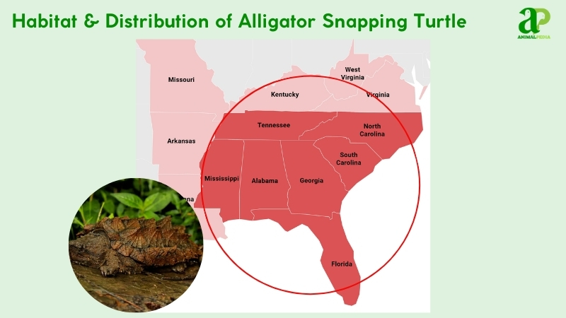 Habitat and distribution of Alligator Snapping Turtles