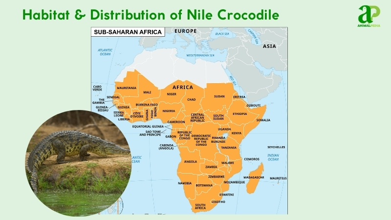 Habitat and distribution of Nile Crocodiles