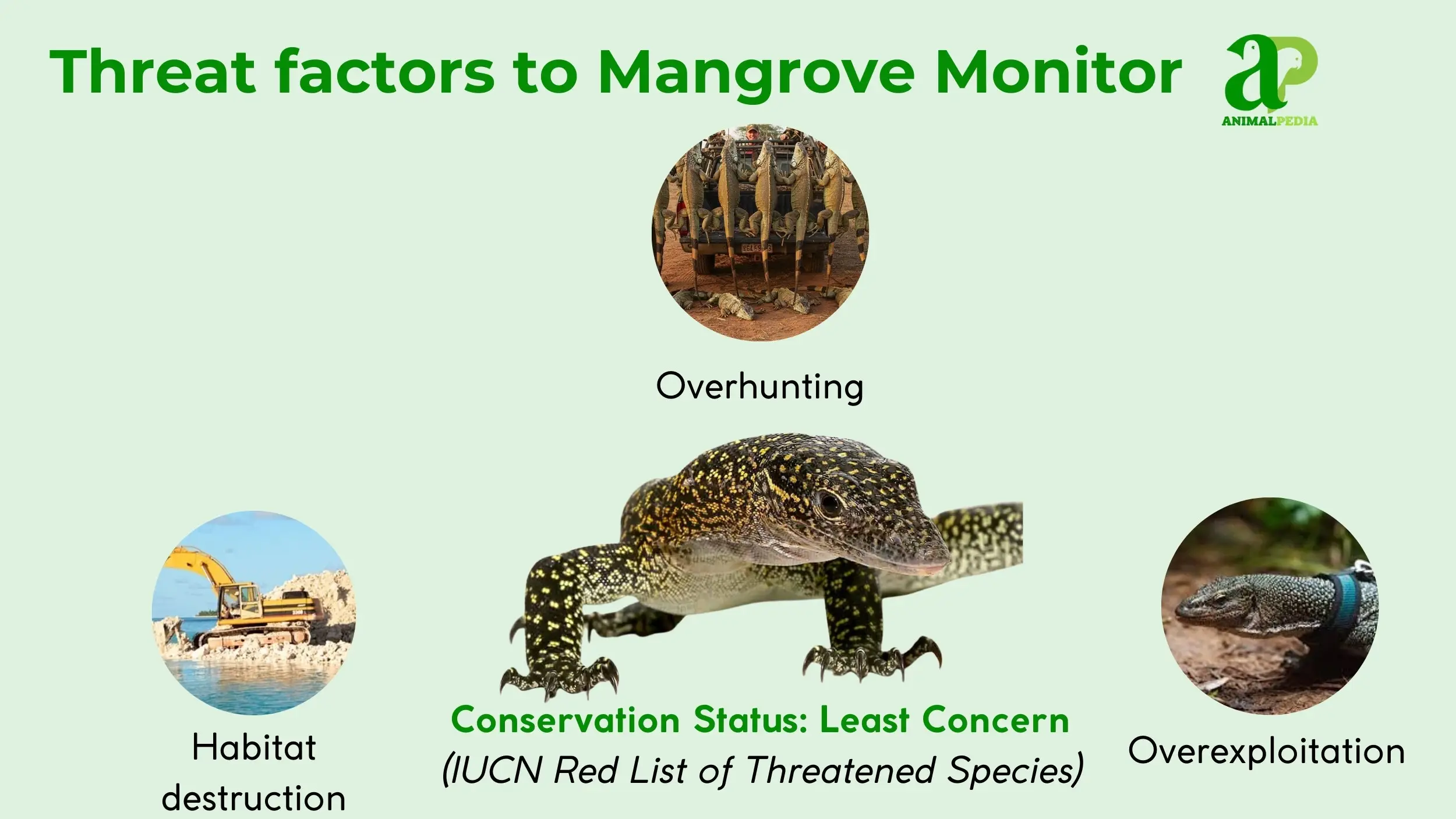 mangrove monitor conservation status protection