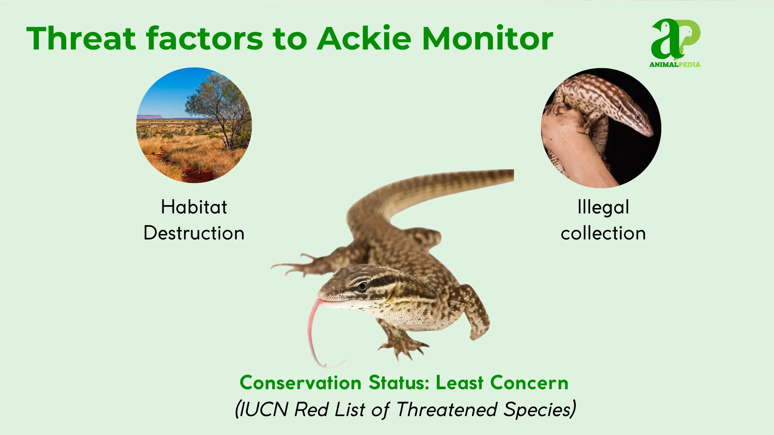 threat factors to ackie monitor