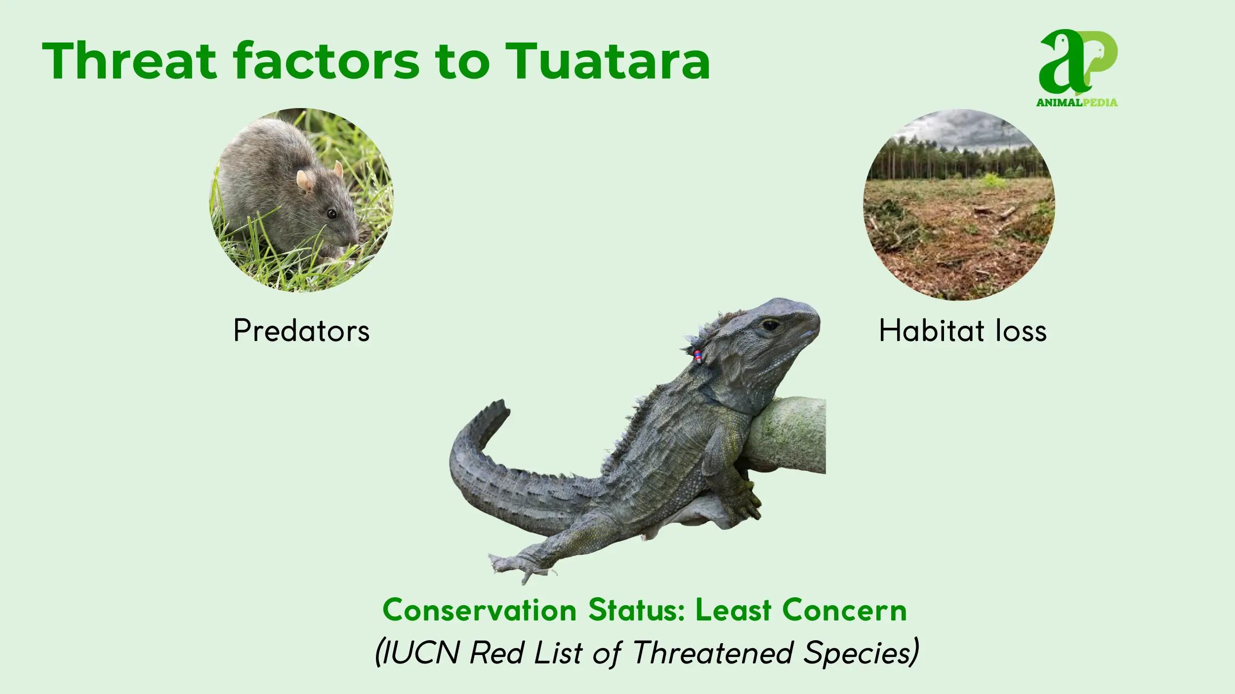 threat factors to tuatara