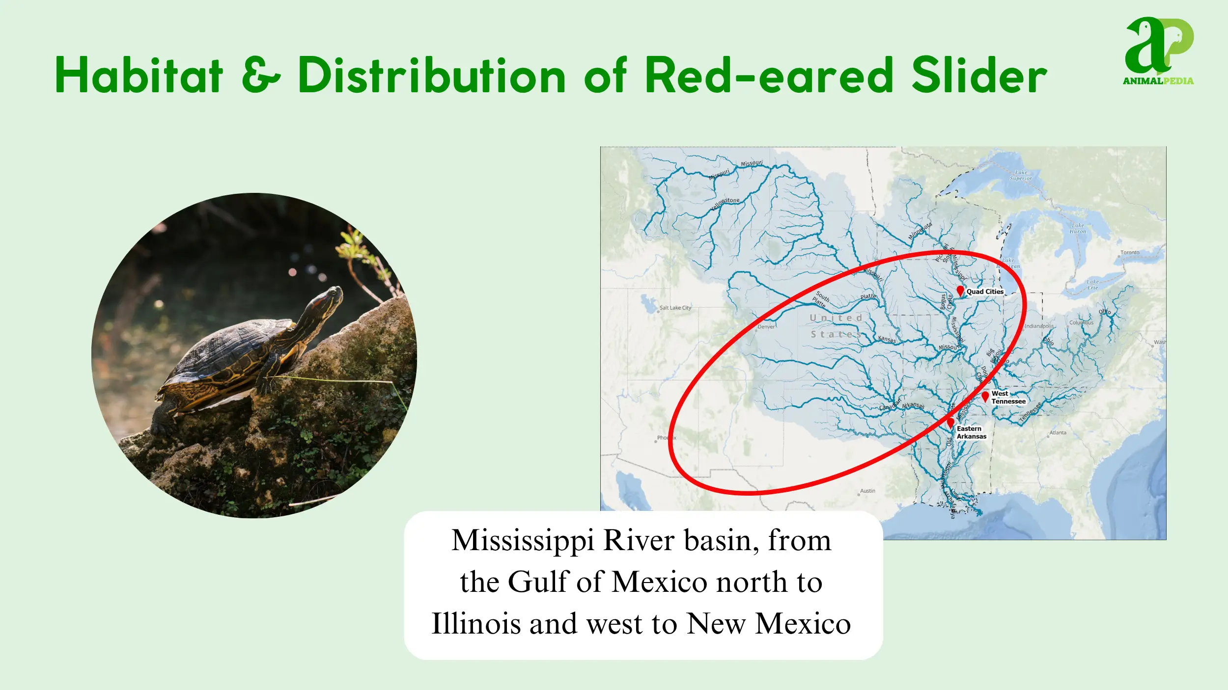 red-eared slider habitat distribution